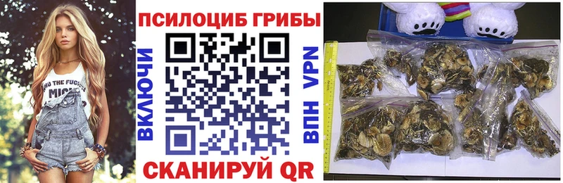 Псилоцибиновые грибы ЛСД  Петровск-Забайкальский 